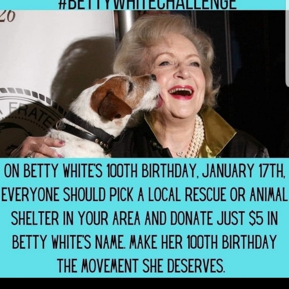 PARTICIPANT - Picture 5 of 12